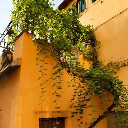 Con Terrazza La Voliera Di Bacco * Frascati
